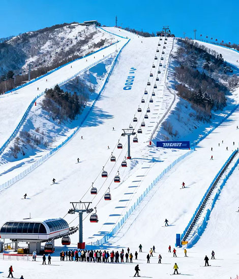 新西兰滑雪场设计图