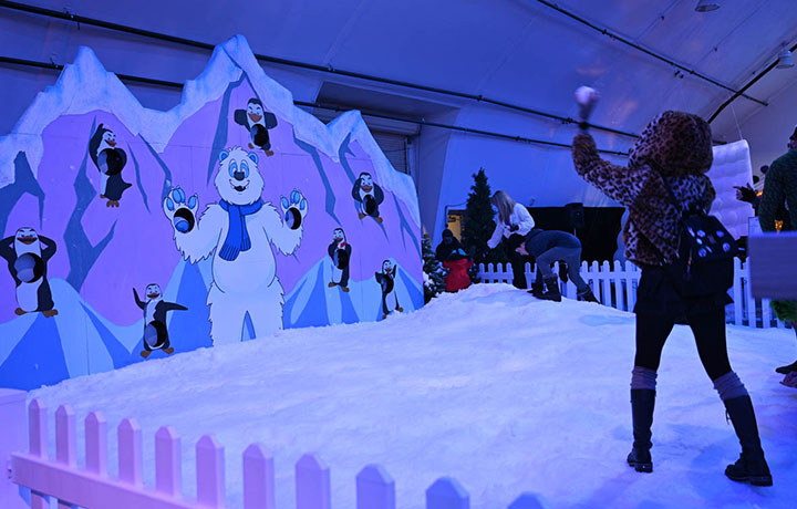 美国 Snow Carnival